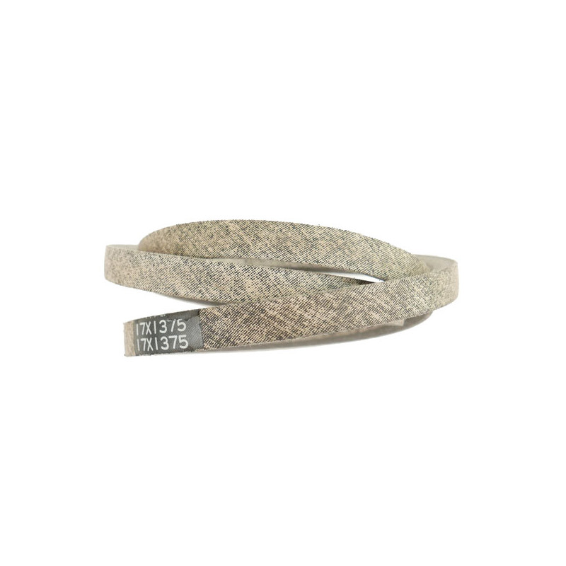 Courroie lame autoportée Oleo-Mac