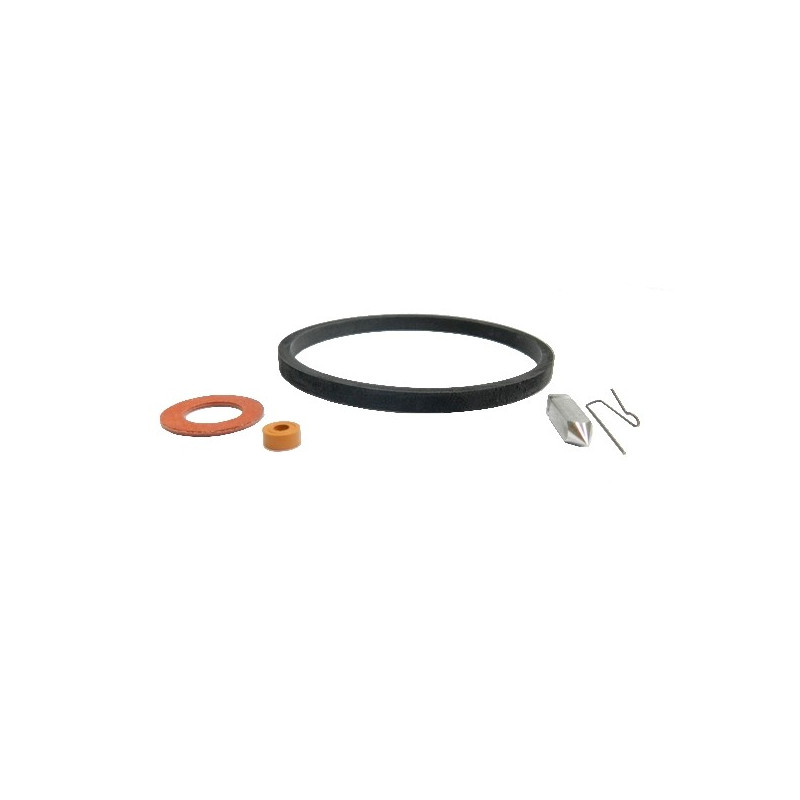 Kit pointeau carburateur moteur Tecumseh
