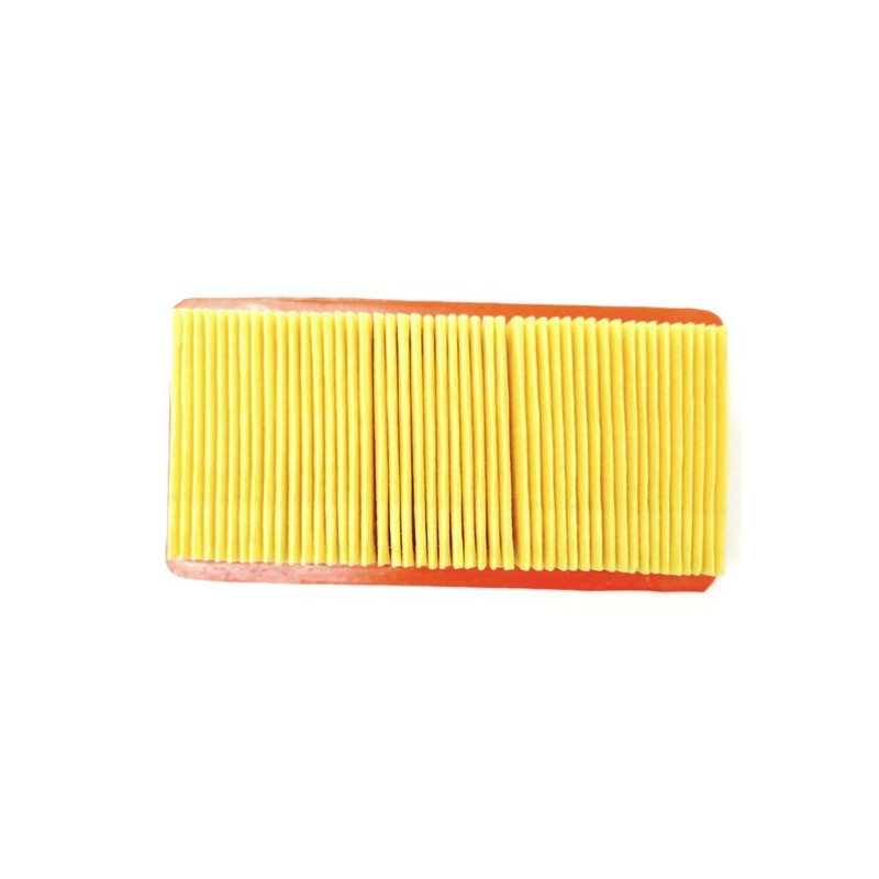 Filtre à air Tecumseh