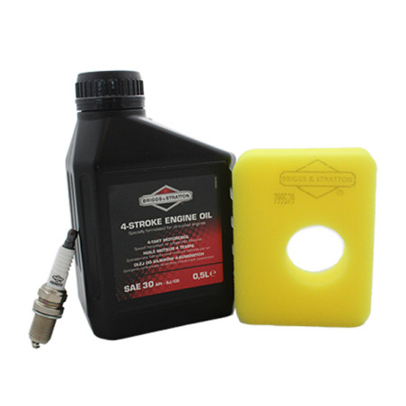 Kit entretien moteur Briggs et Stratton filtre jaune