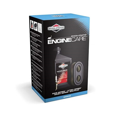 Kit entretien moteur Briggs et Stratton Serie 550, 575