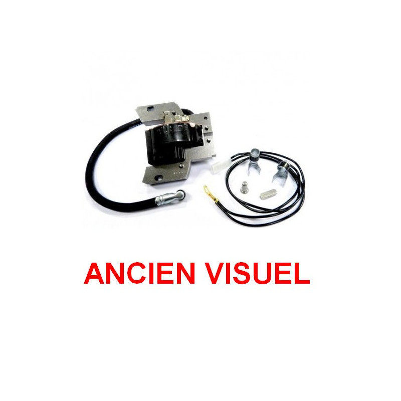 Bobine allumage Briggs et Stratton