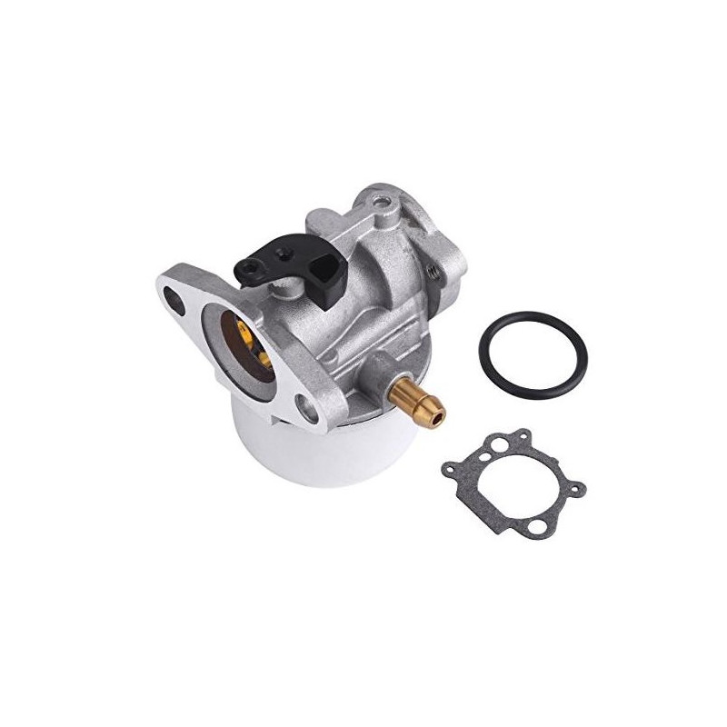 Carburateur Briggs et Stratton