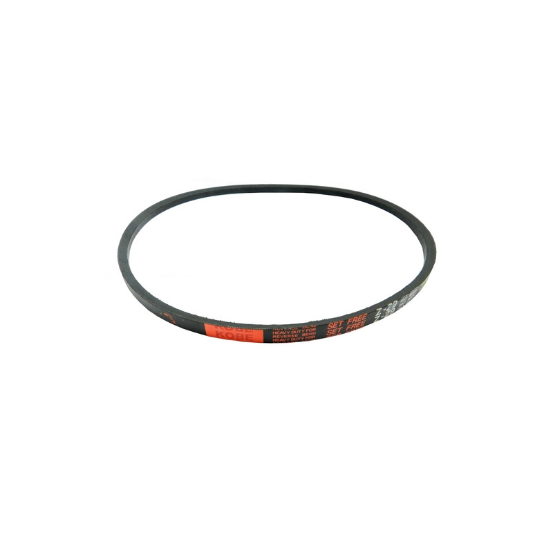 Courroie de traction tondeuse GGP/Castelgarden Z29