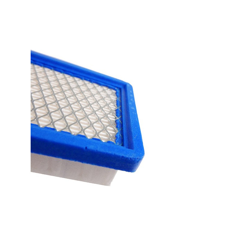 Filtre a air Tecumseh