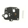 Membrane moteur Briggs Stratton Membrane moteur Briggs Stratton