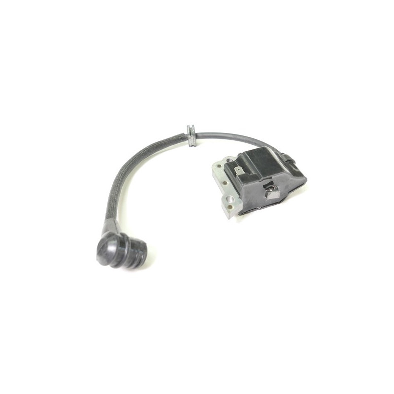 Bobine allumage tronçonneuse Bestgreen, Alpina