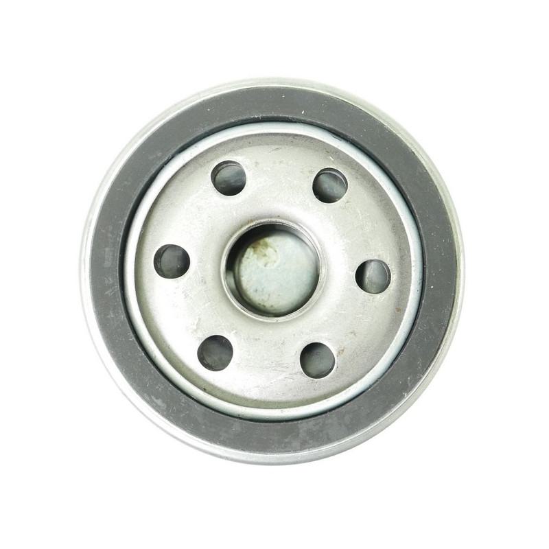 Filtre à huile moteur autoportée MTD