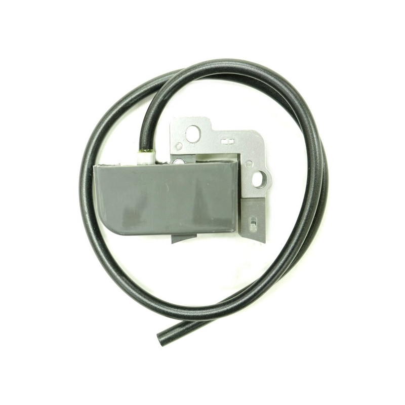 Bobine allumage souffleur Echo