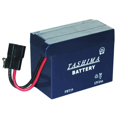 Batterie tondeuse moteur Tecumseh 12V - 3.2Ah