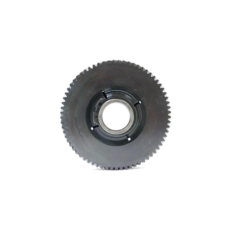 Pignon taille haies électrique Wolf