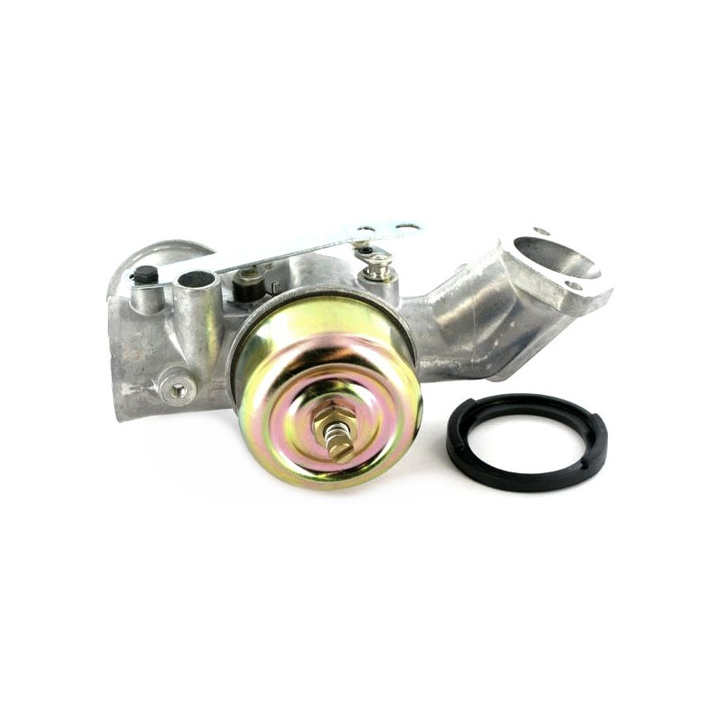 Carburateur moteur Briggs et Stratton