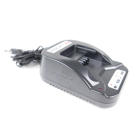 Chargeur InStart tondeuse moteur Briggs et Stratton