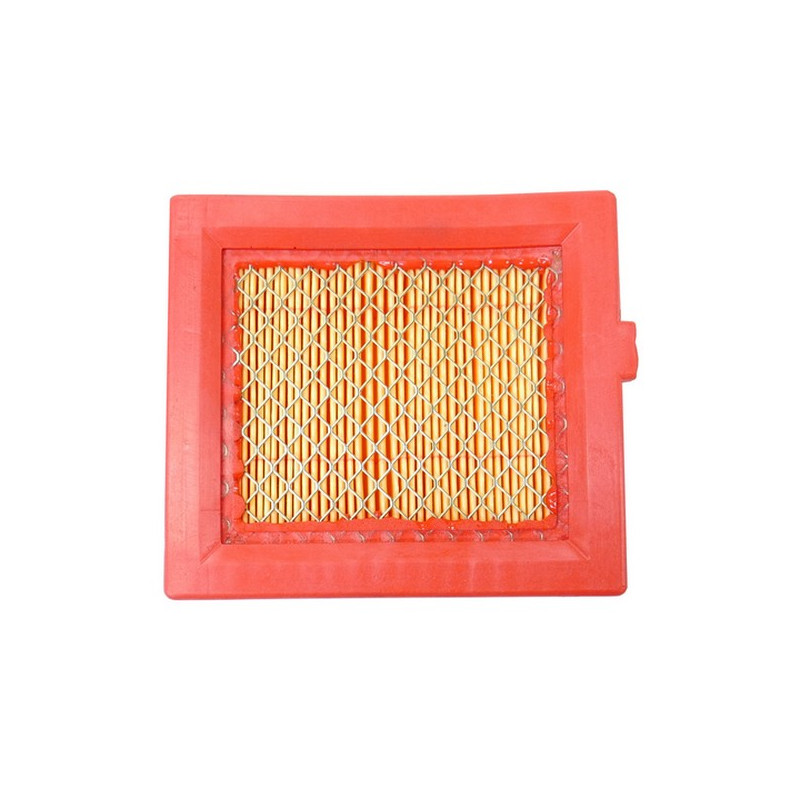 Filtre à air papier moteur GGP