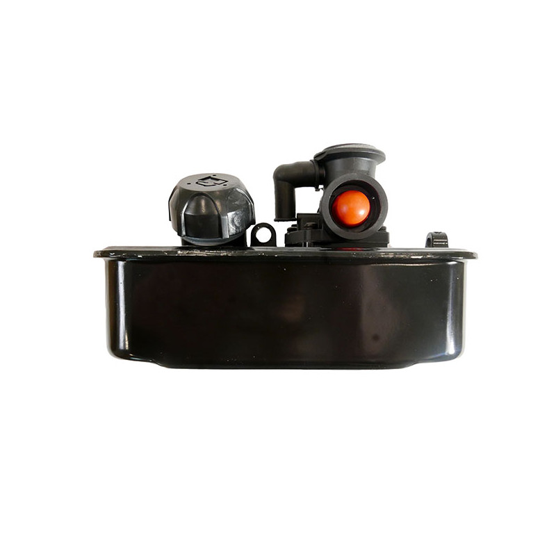 Carburateur moteur Briggs et Stratton avec réservoir