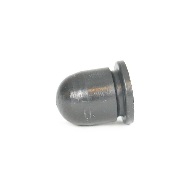 Poire amorcage Kawasaki