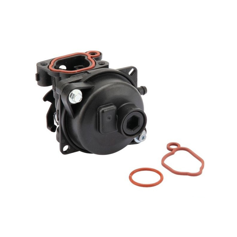 Carburateur tondeuse moteur Briggs & Stratton