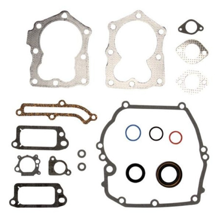 Kit joints moteur tondeuse Briggs & Stratton