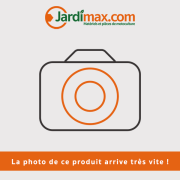 Carburateur Walbro complet WT500