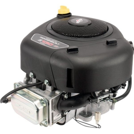 Moteur autoportée Briggs et Stratton 13 cv