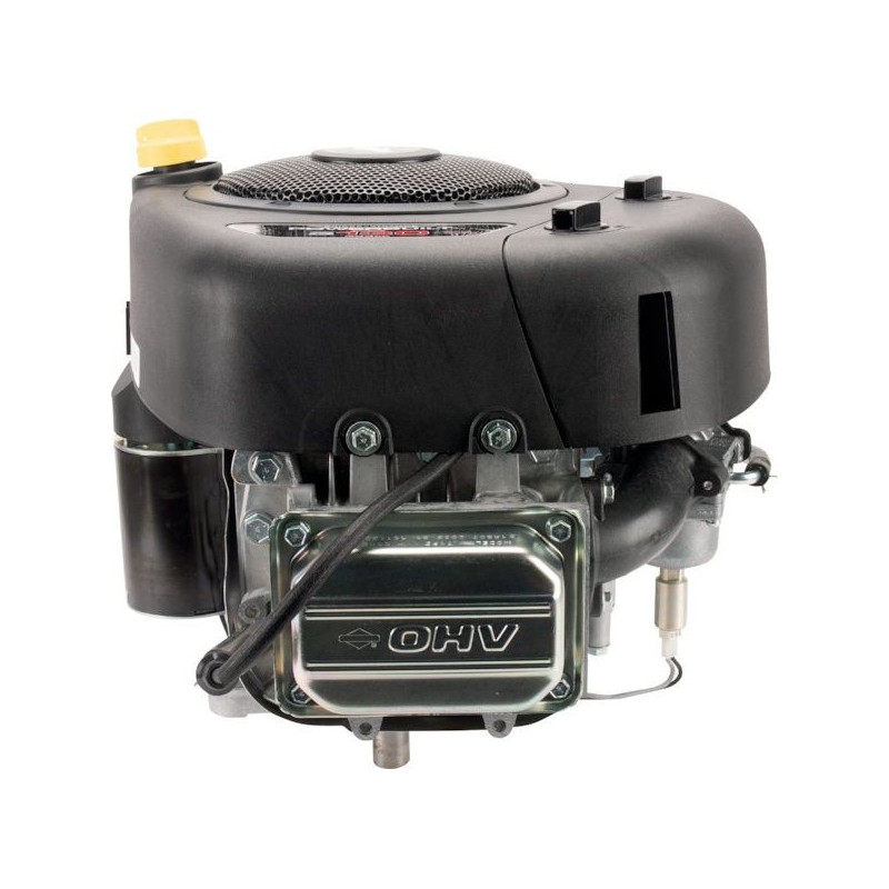 Moteur autoportée Briggs et Stratton 13 cv