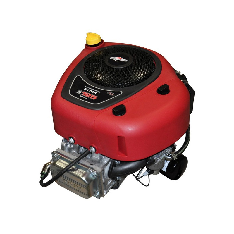 Moteur autoportée Briggs et Stratton 13 cv