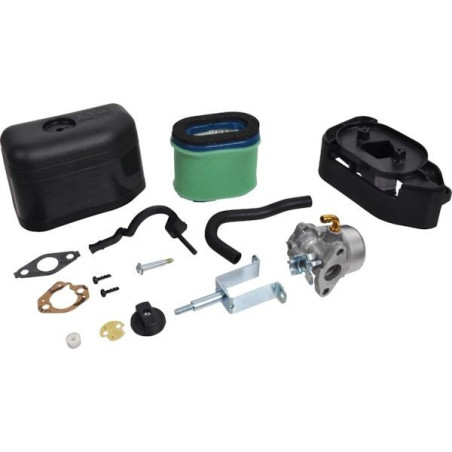 Carburateur moteur briggs et stratton