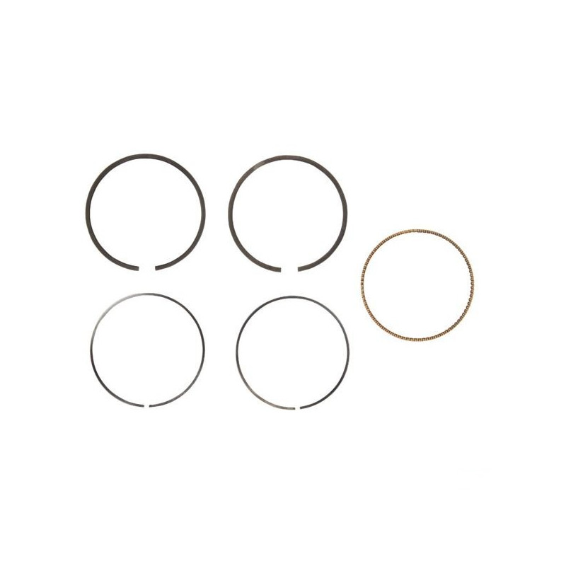 segments moteur briggs et Stratton