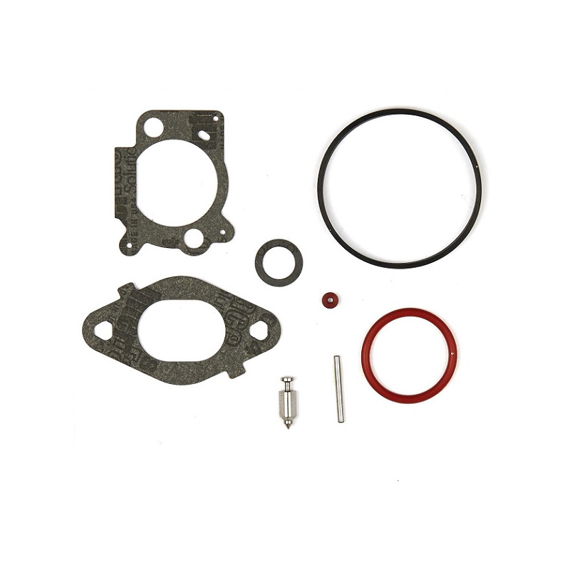 Kit joint carburateur moteur Briggs et Stratton