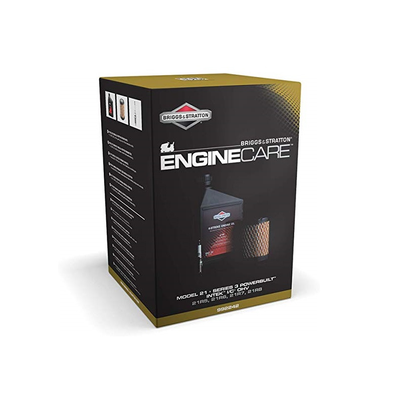 Kit entretien moteur Briggs Stratton 992242