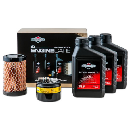 Kit entretien moteur Briggs Stratton