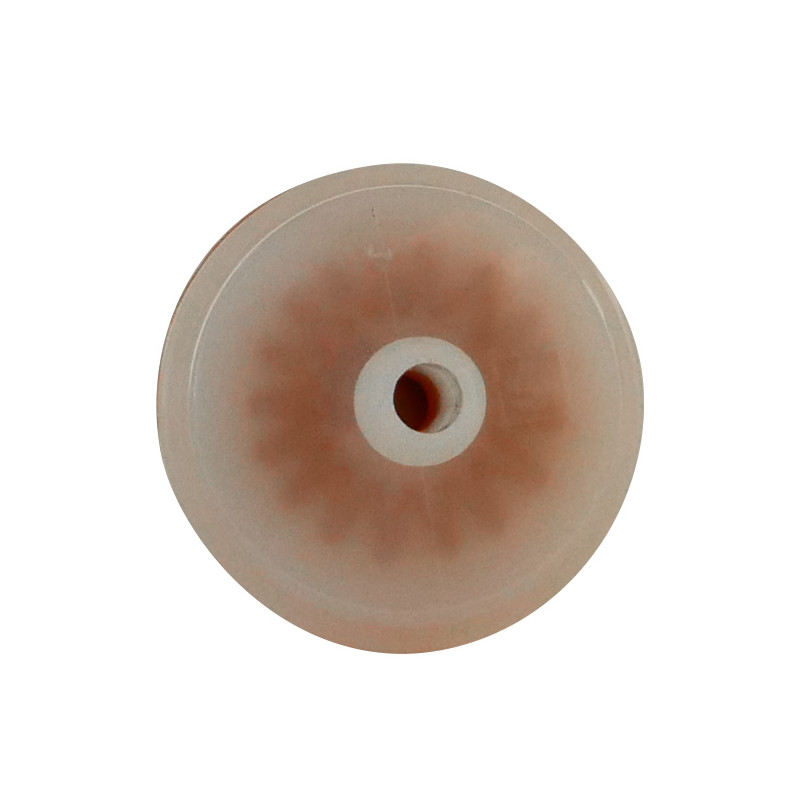 Filtre à essence moteur autoportée Briggs et Stratton