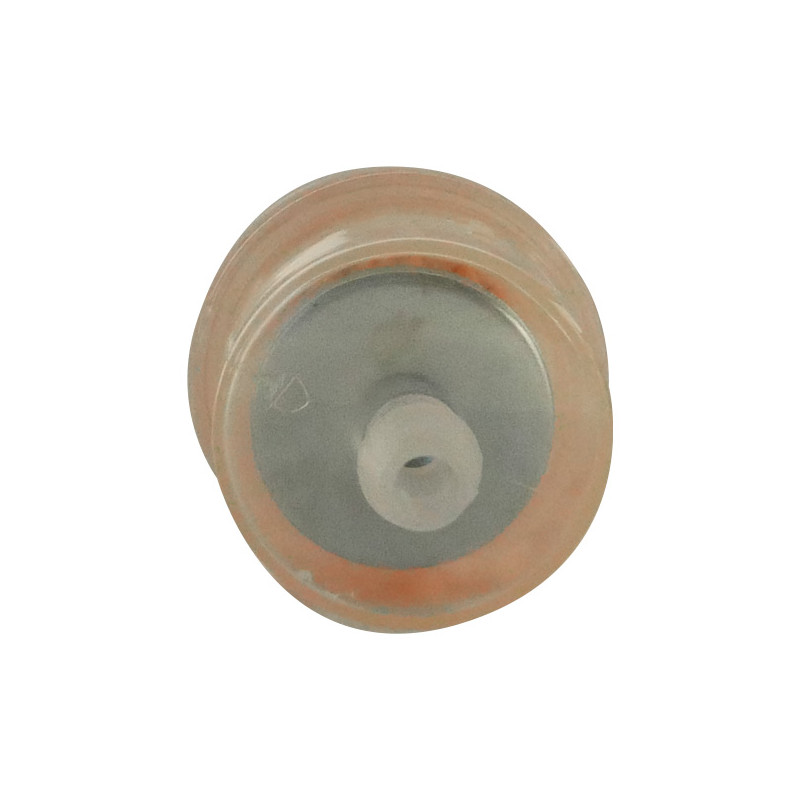 Filtre à essence moteur autoportée Briggs et Stratton