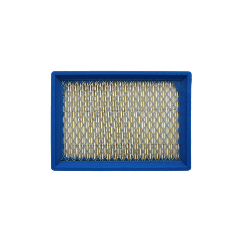 Filtre a air Briggs et Stratton Quantum 397795