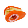 Filtre a air Briggs & Stratton Filtre a air Briggs & Stratton