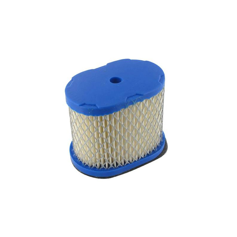 Filtre a air Briggs et Stratton Intek series 121600