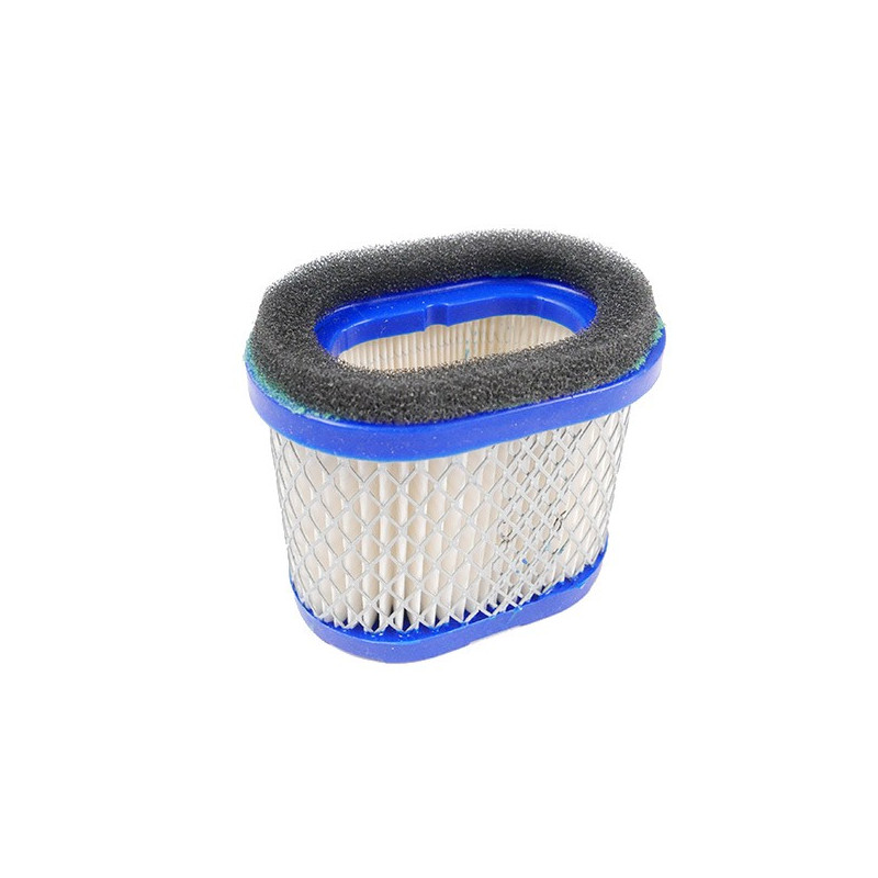 Filtre a air Briggs et Stratton Intek series 121600