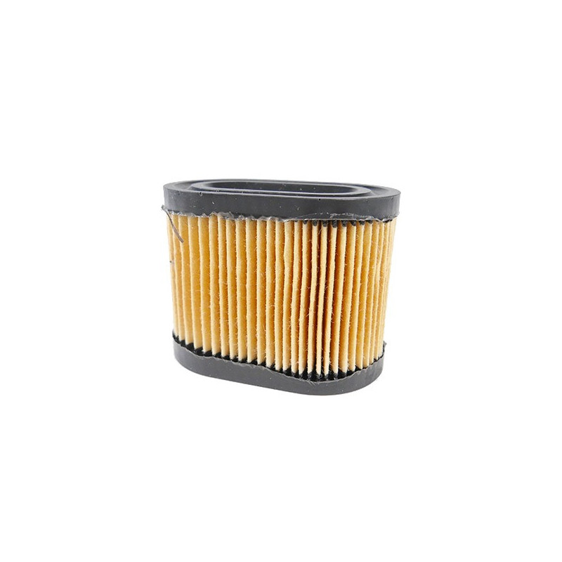 Filtre a air Tecumseh