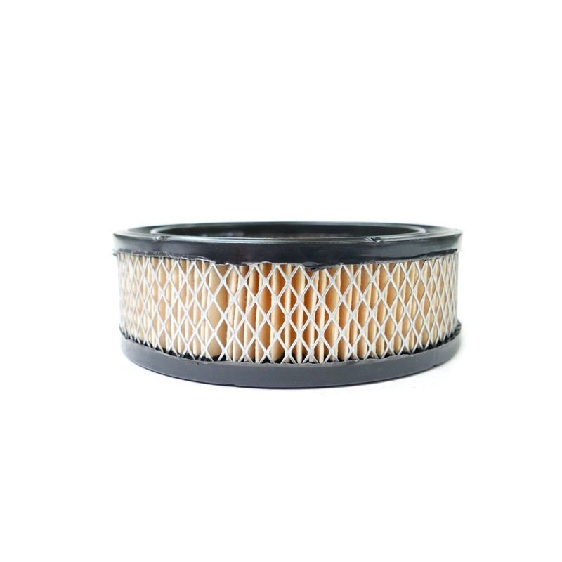 Filtre à air moteur Kohler