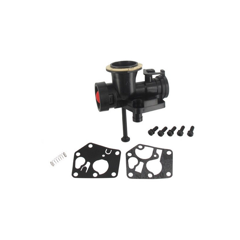 Carburateur Briggs Stratton sur réservoir