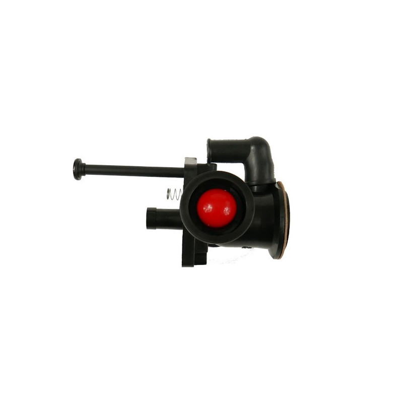 Carburateur Briggs Stratton sur réservoir
