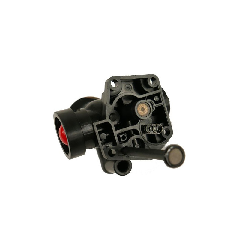 Carburateur Briggs Stratton sur réservoir