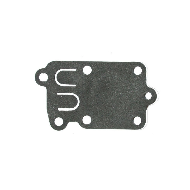 Membrane moteur Briggs Stratton
