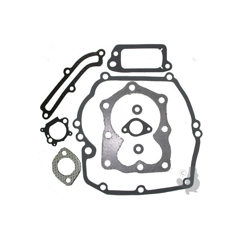 Pochette joint moteur Briggs Stratton