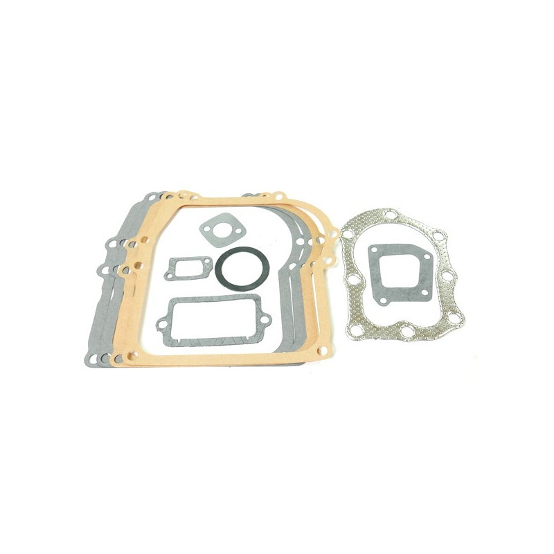 Pochette joint moteur briggs stratton