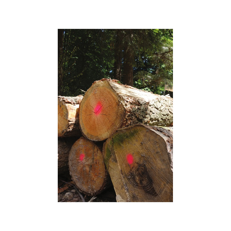 Bombe peinture forestiere rouge Fluomarker