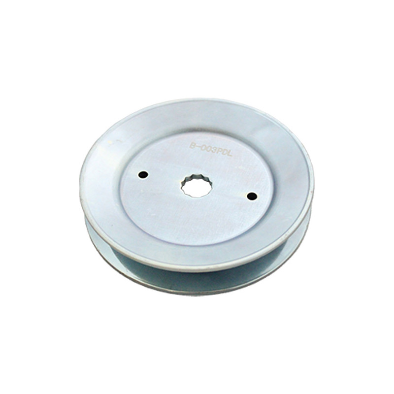 Poulie palier lame Tracteur tondeuse AYP