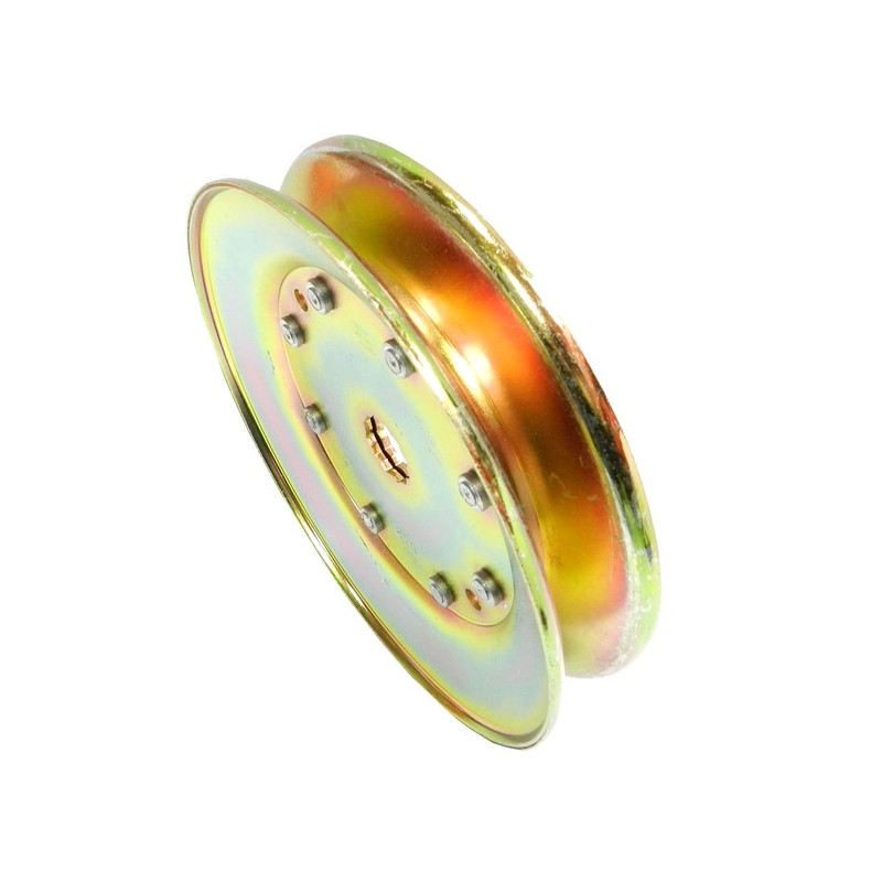 Poulie palier lame tracteur tondeuse AYP