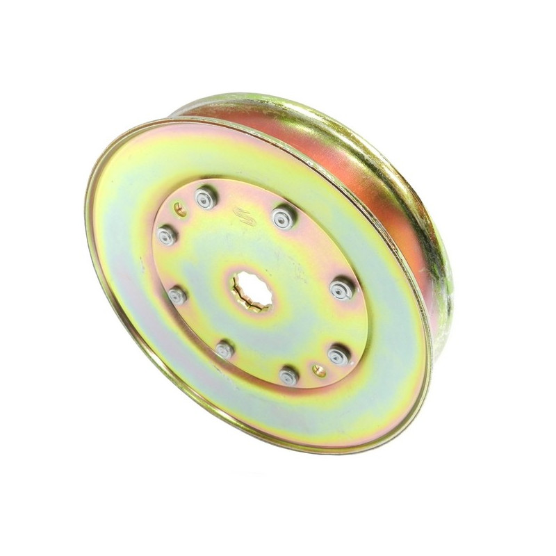 Poulie palier lame tracteur tondeuse AYP