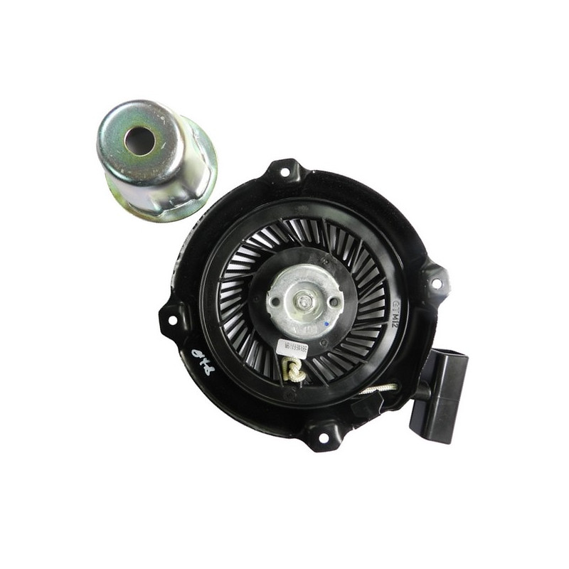 Lanceur complet Briggs et Stratton